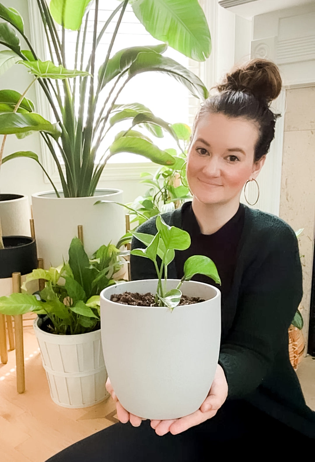 Founder Thoughts: How Plants Kept Me from Burnout - xomarshmallow