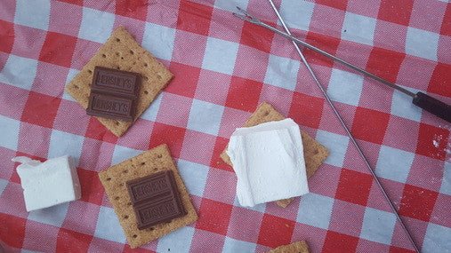 Summer Sorbet S'Mores - xomarshmallow