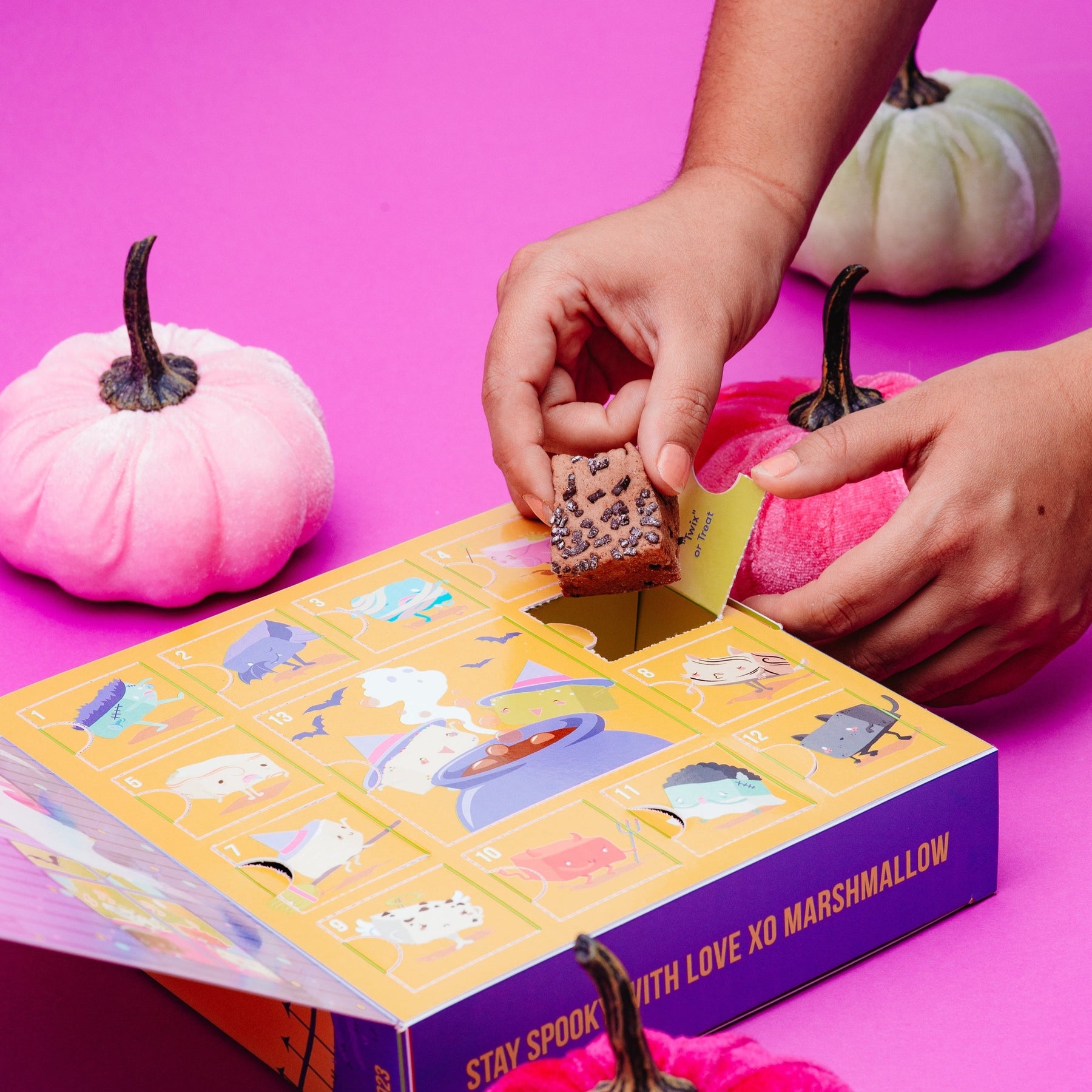 PREORDER 2023 Halloween Marshmallow Advent CalendarN xomarshmallow